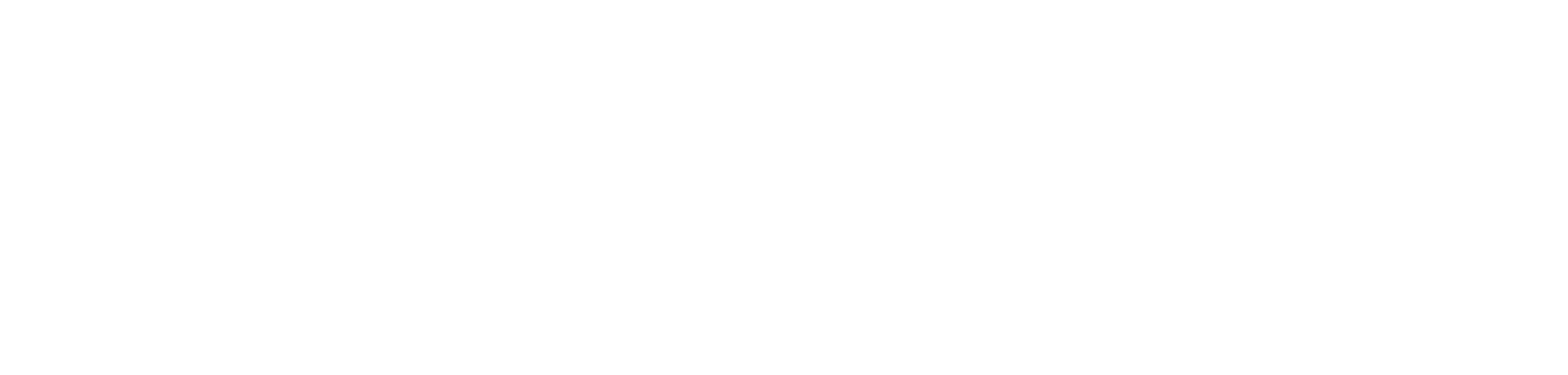 Reach N Rise Media